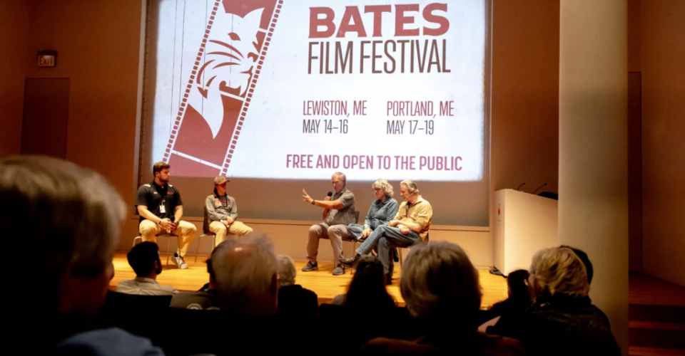 Lone Star Panel by PGJ